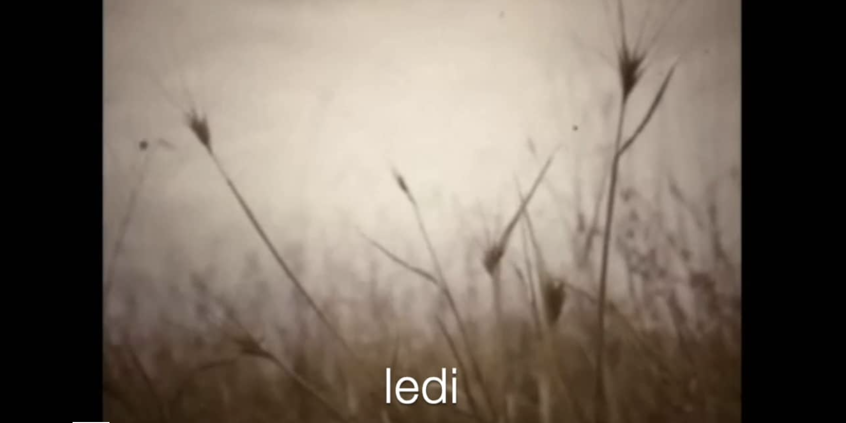 Screen Shot 2020-04-16 at 11.35.44 AM