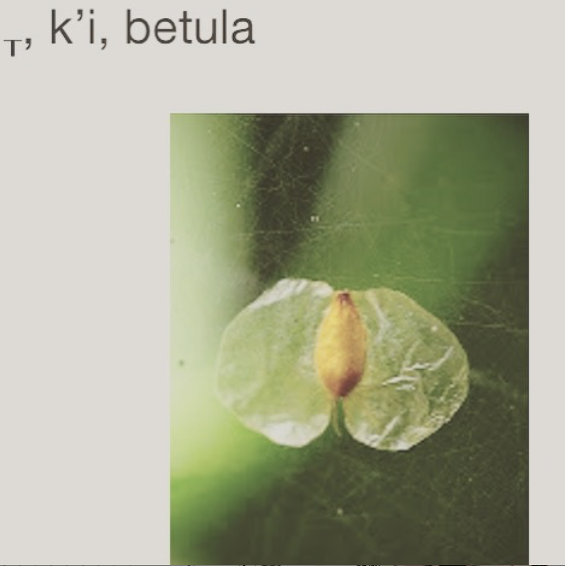 Screen Shot 2020-05-01 at 10.45.08 PM