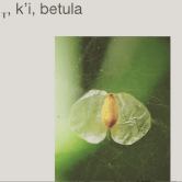 Screen Shot 2020-05-01 at 10.45.08 PM