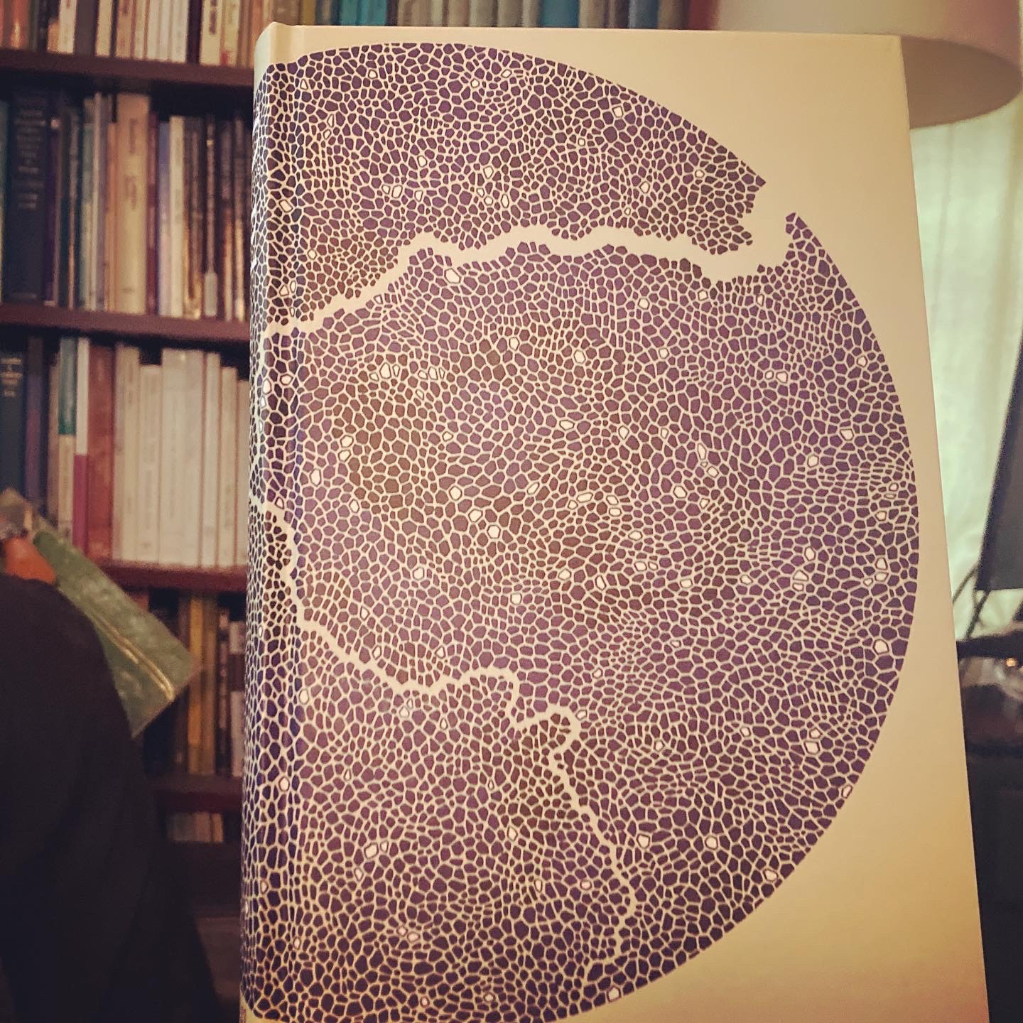 dark mountain issue 21 cover