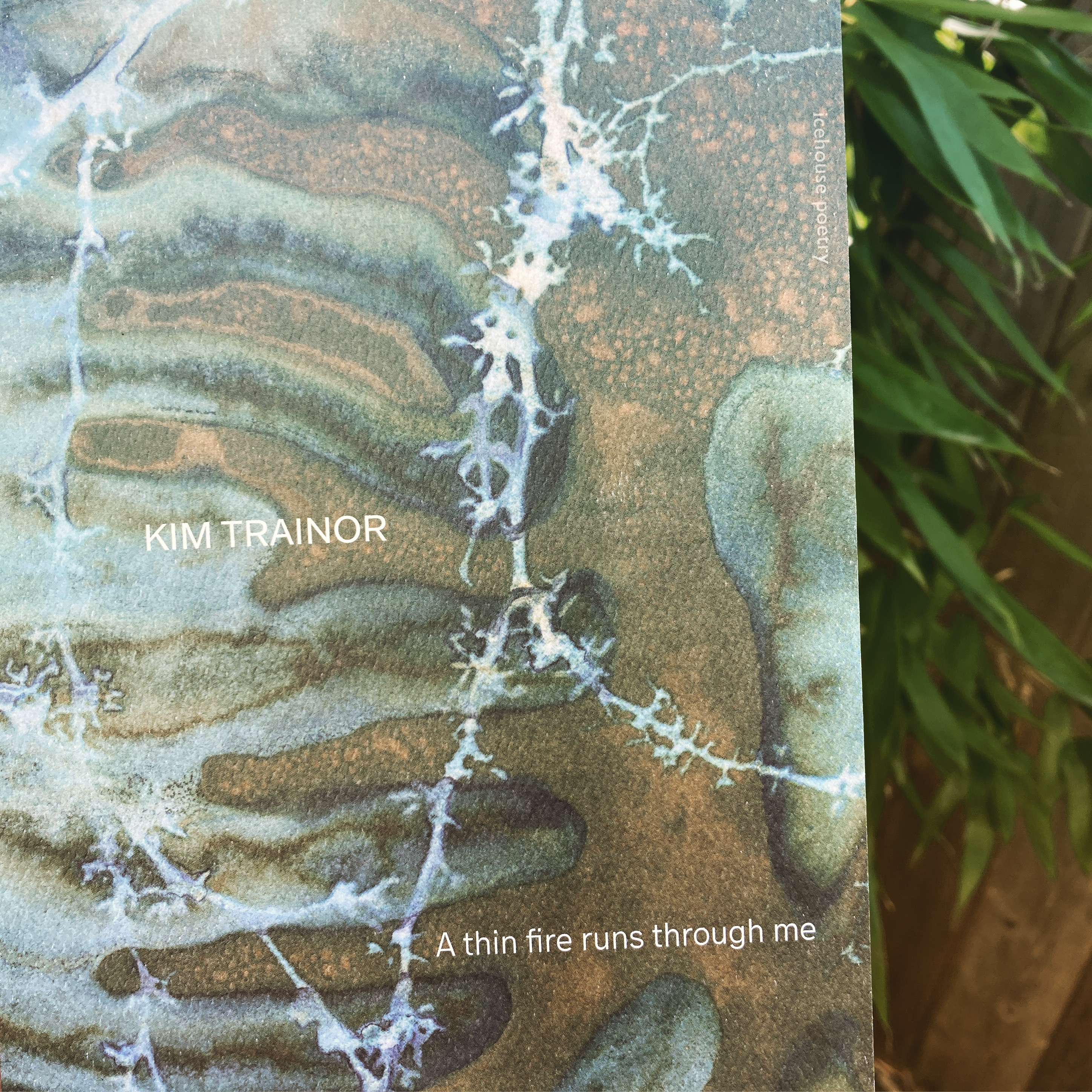 a thin fire runs through me 23 february 2023