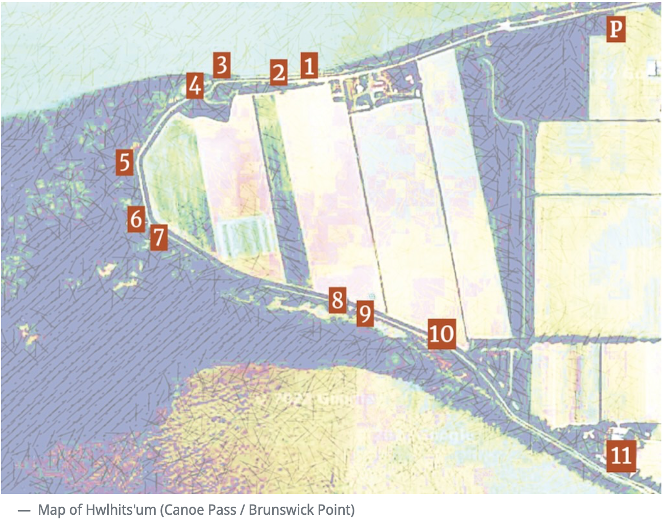 screenshot-2023-07-30-at-9.07.02-am-1