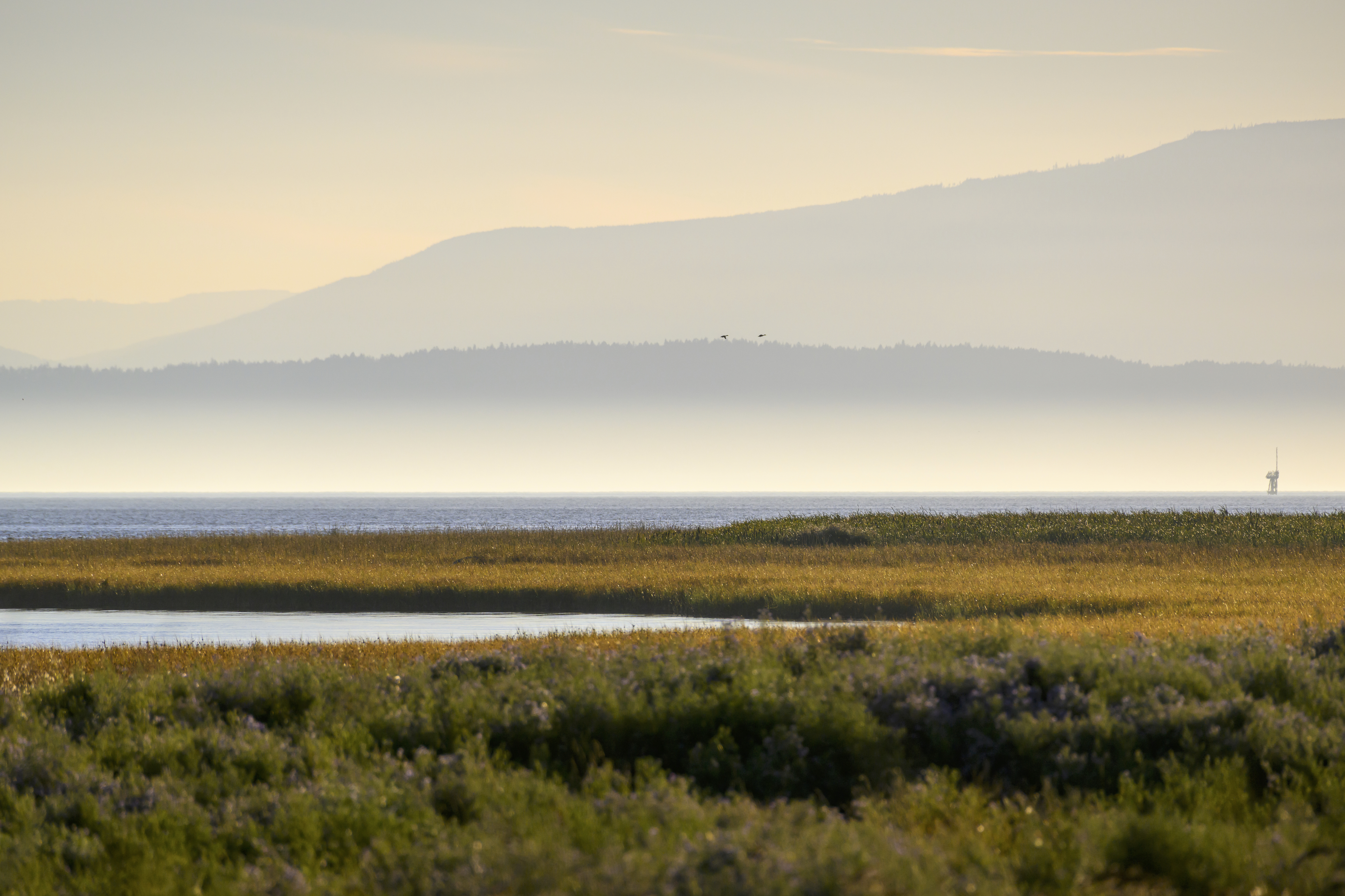 Shutter cover image high res - 1